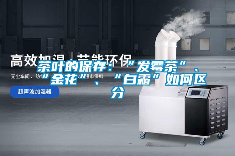 茶葉的保存：“發(fā)霉茶”、“金花”、“白霜”如何區(qū)分
