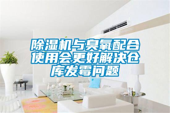 除濕機(jī)與臭氧配合使用會(huì)更好解決倉(cāng)庫(kù)發(fā)霉問(wèn)題