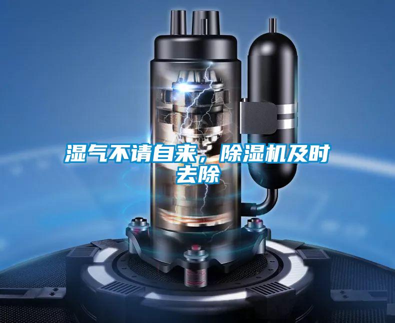 濕氣不請(qǐng)自來(lái)，除濕機(jī)及時(shí)去除