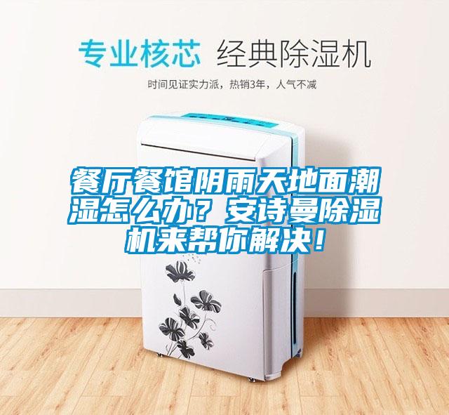 餐廳餐館陰雨天地面潮濕怎么辦？安詩曼除濕機來幫你解決！