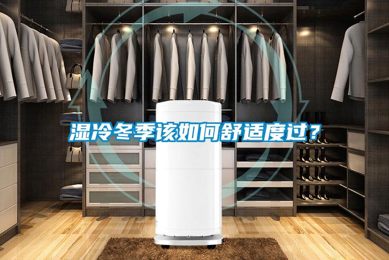 濕冷冬季該如何舒適度過？