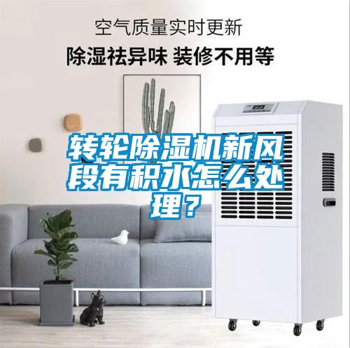 轉(zhuǎn)輪除濕機(jī)新風(fēng)段有積水怎么處理？
