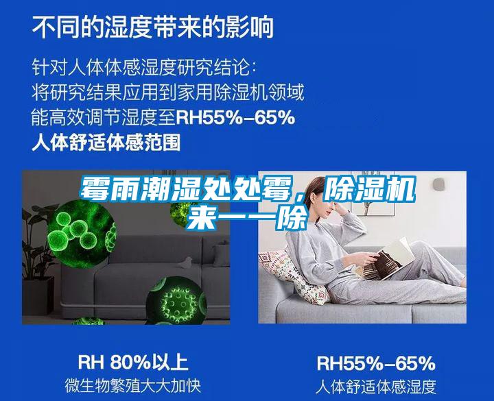 霉雨潮濕處處霉，除濕機(jī)來一一除