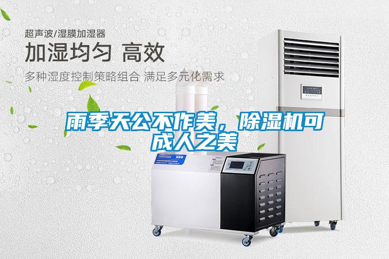 雨季天公不作美，除濕機可成人之美