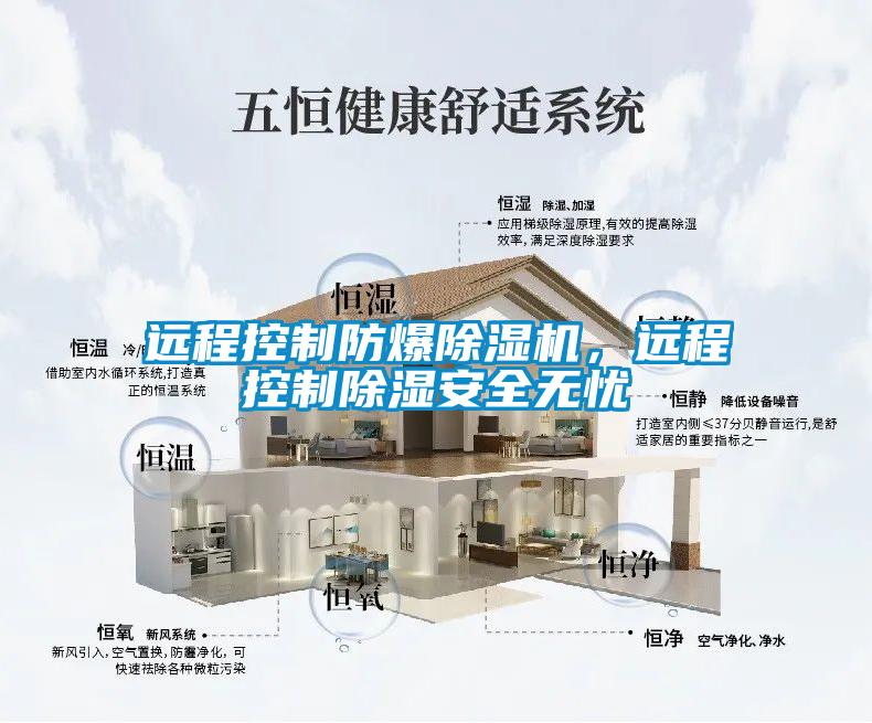 遠(yuǎn)程控制防爆除濕機(jī)，遠(yuǎn)程控制除濕安全無(wú)憂