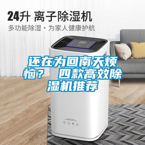 還在為回南天煩惱？ 四款高效除濕機推薦