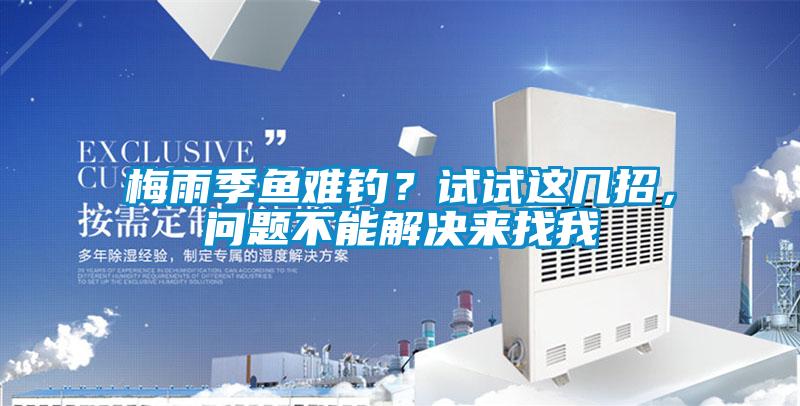 梅雨季魚難釣？試試這幾招，問題不能解決來找我