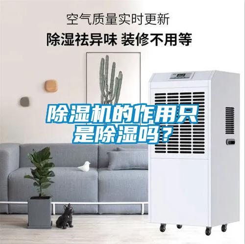除濕機(jī)的作用只是除濕嗎？