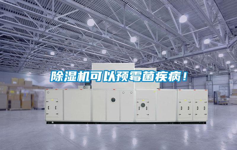 除濕機(jī)可以預(yù)霉菌疾??！