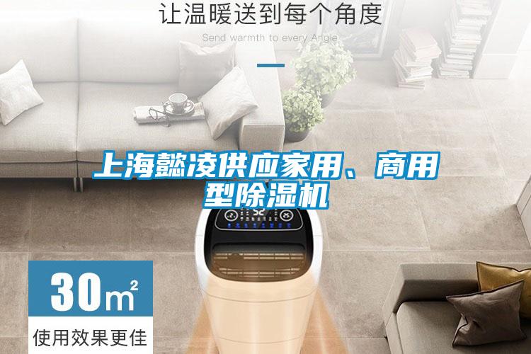 上海懿凌供應(yīng)家用、商用型除濕機