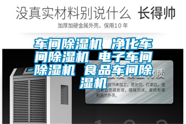 車(chē)間除濕機(jī) 凈化車(chē)間除濕機(jī) 電子車(chē)間除濕機(jī) 食品車(chē)間除濕機(jī)
