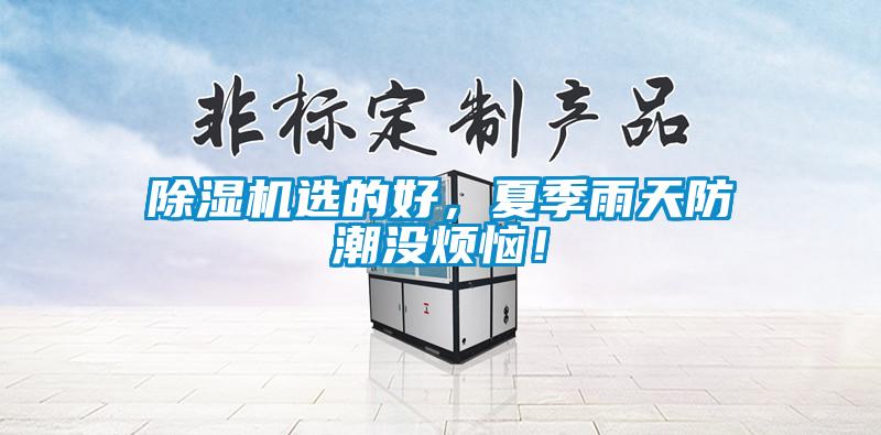 除濕機選的好，夏季雨天防潮沒煩惱！