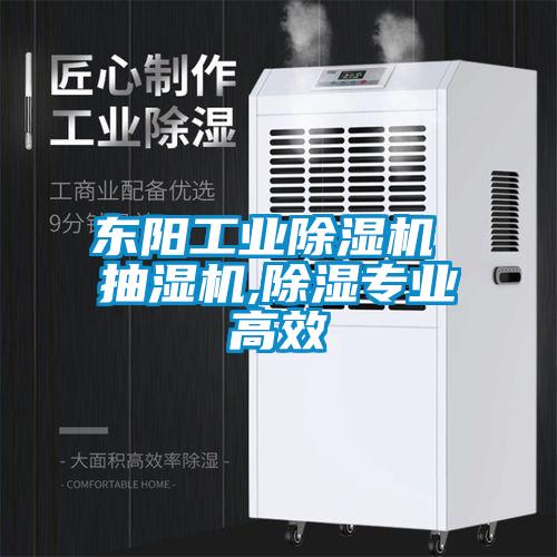 東陽(yáng)工業(yè)除濕機(jī) 抽濕機(jī),除濕專(zhuān)業(yè)高效