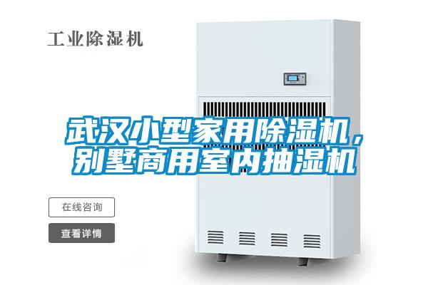 武漢小型家用除濕機(jī)，別墅商用室內(nèi)抽濕機(jī)