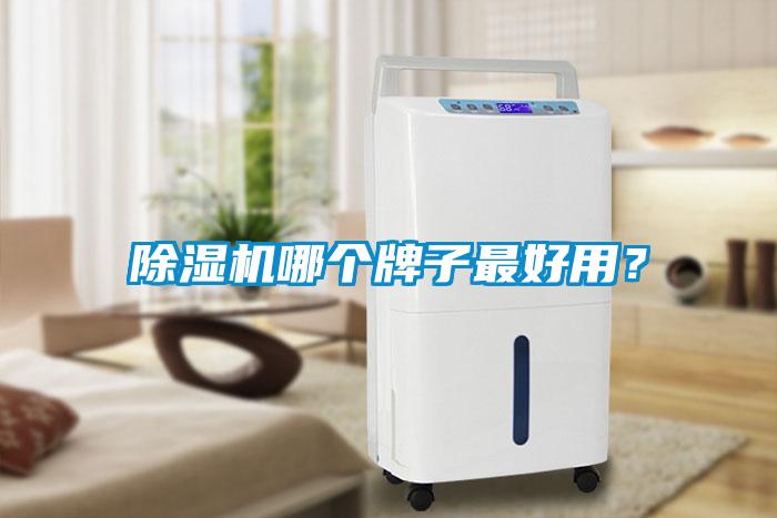 除濕機哪個牌子最好用？