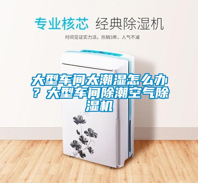 大型車間太潮濕怎么辦？大型車間除潮空氣除濕機
