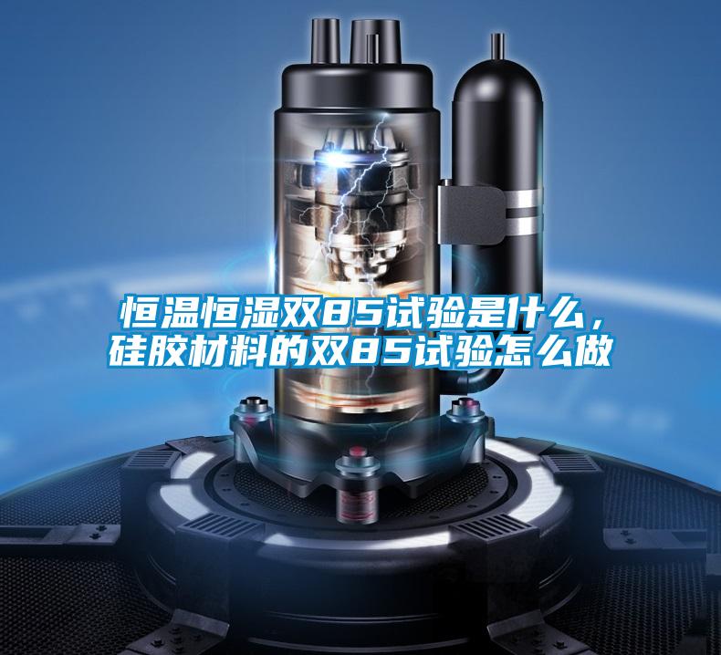 恒溫恒濕雙85試驗是什么，硅膠材料的雙85試驗怎么做