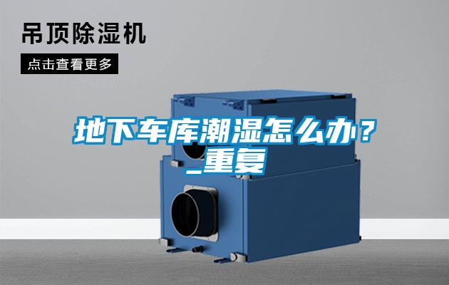 地下車庫(kù)潮濕怎么辦？_重復(fù)