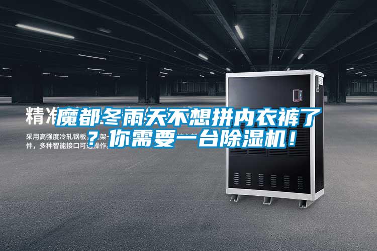 魔都冬雨天不想拼內(nèi)衣褲了？你需要一臺(tái)除濕機(jī)！