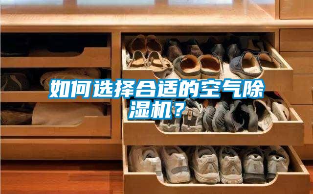 如何選擇合適的空氣除濕機？