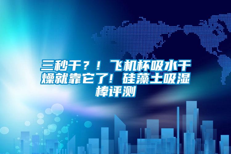 三秒干？! 飛機(jī)杯吸水干燥就靠它了! 硅藻土吸濕棒評(píng)測(cè)