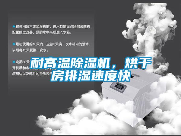 耐高溫除濕機(jī)，烘干房排濕速度快