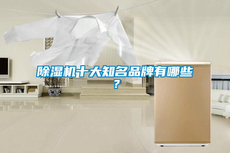 除濕機(jī)十大知名品牌有哪些？