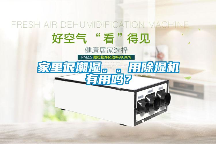 家里很潮濕。。用除濕機有用嗎？