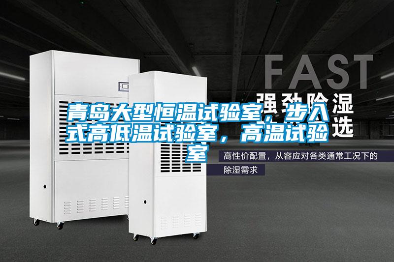 青島大型恒溫試驗(yàn)室，步入式高低溫試驗(yàn)室，高溫試驗(yàn)室