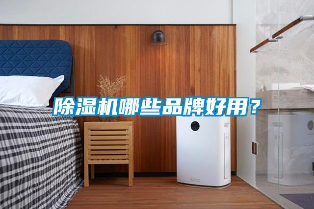 除濕機(jī)哪些品牌好用？