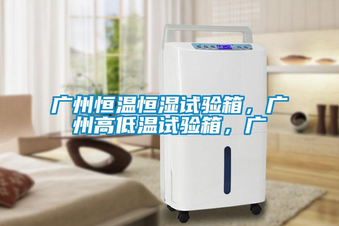 廣州恒溫恒濕試驗(yàn)箱，廣州高低溫試驗(yàn)箱，廣