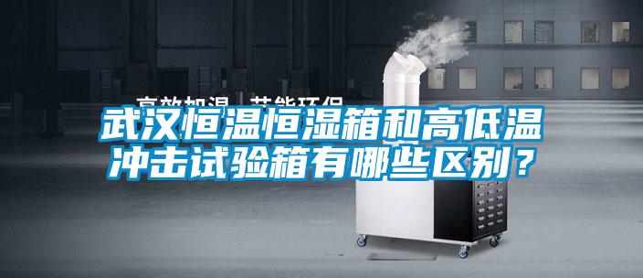 武漢恒溫恒濕箱和高低溫沖擊試驗(yàn)箱有哪些區(qū)別？