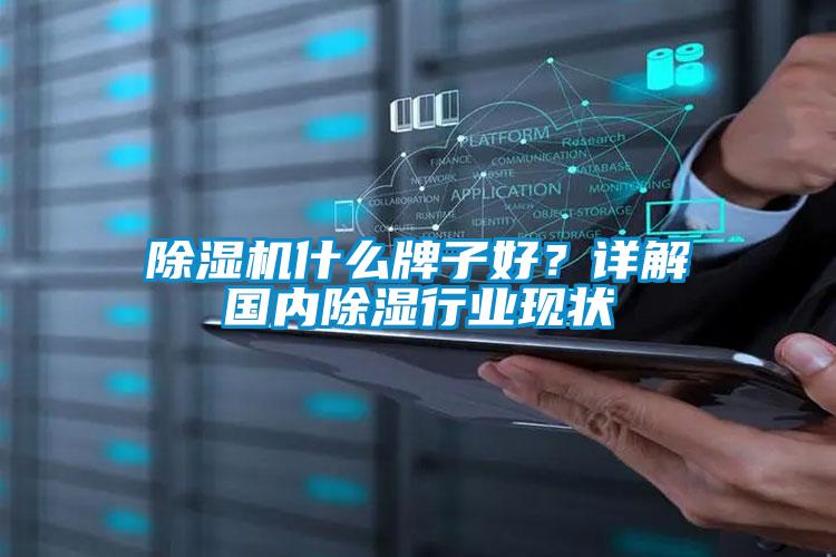 除濕機(jī)什么牌子好？詳解國(guó)內(nèi)除濕行業(yè)現(xiàn)狀