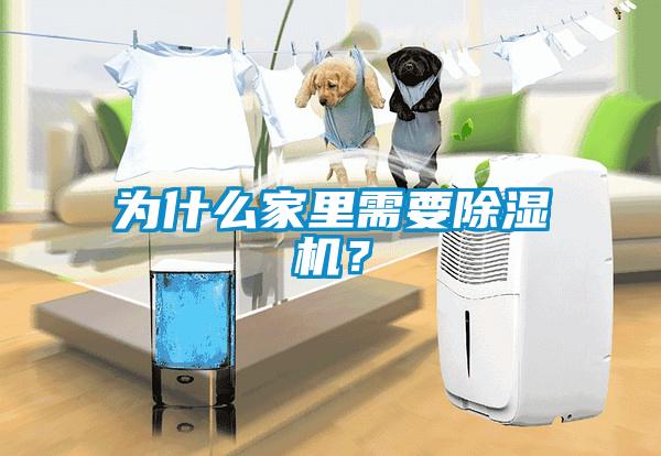 為什么家里需要除濕機(jī)？