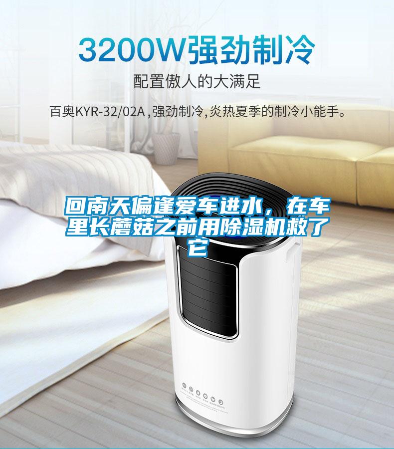 回南天偏逢愛車進水，在車里長蘑菇之前用除濕機救了它