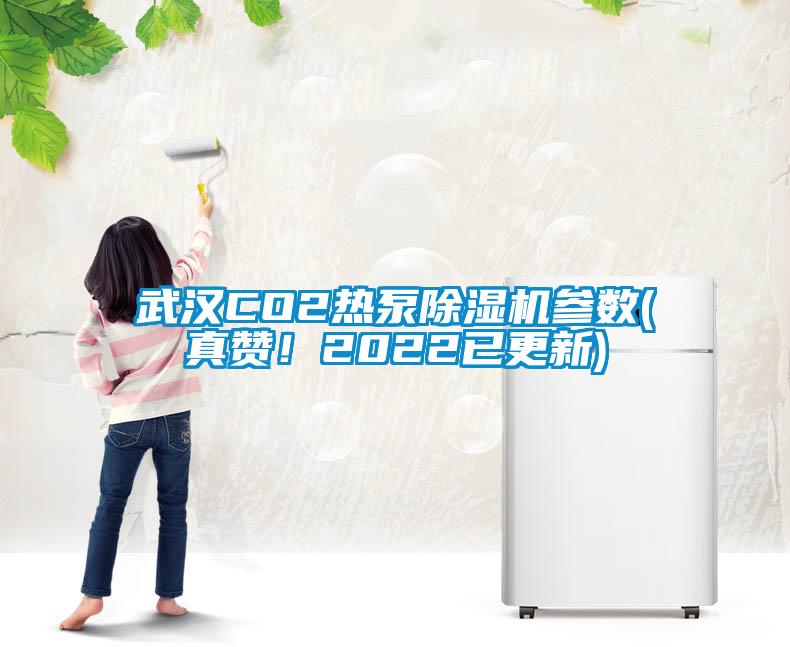 武漢CO2熱泵除濕機參數(shù)(真贊！2022已更新)