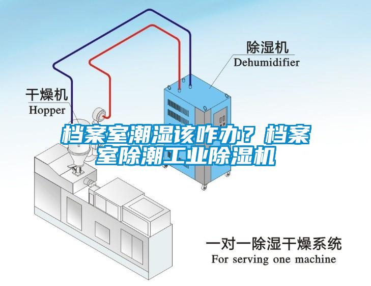 檔案室潮濕該咋辦？檔案室除潮工業(yè)除濕機