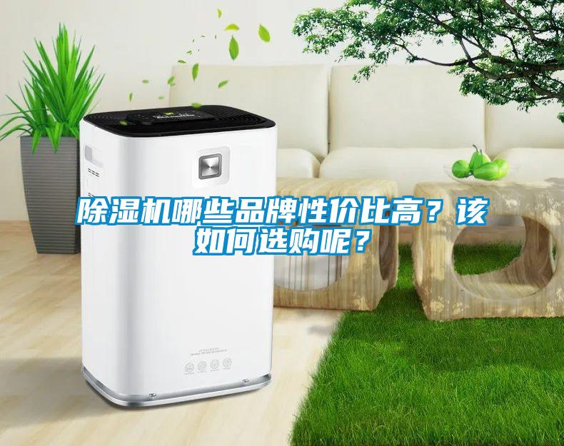 除濕機哪些品牌性價比高？該如何選購呢？