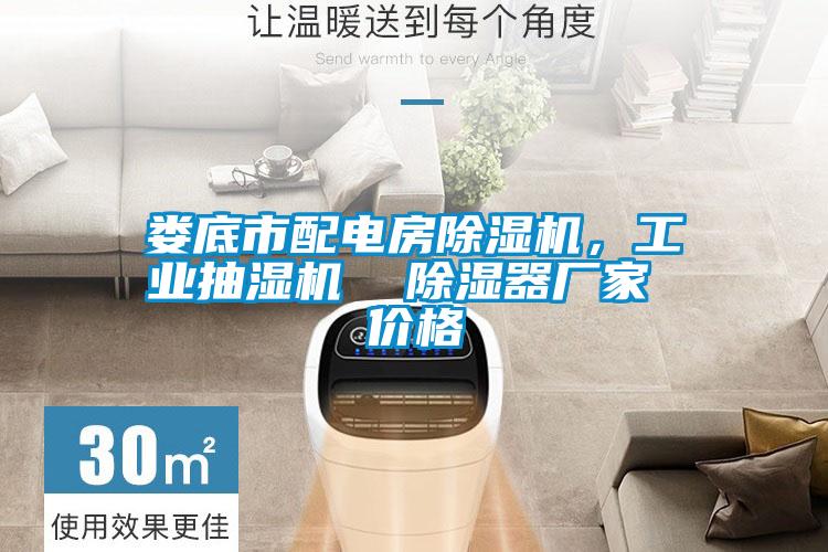 婁底市配電房除濕機(jī)，工業(yè)抽濕機(jī)  除濕器廠家 價格