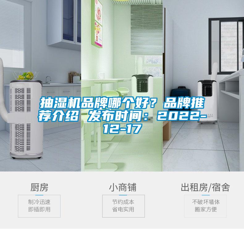 抽濕機品牌哪個好？品牌推薦介紹 發(fā)布時間：2022-12-17