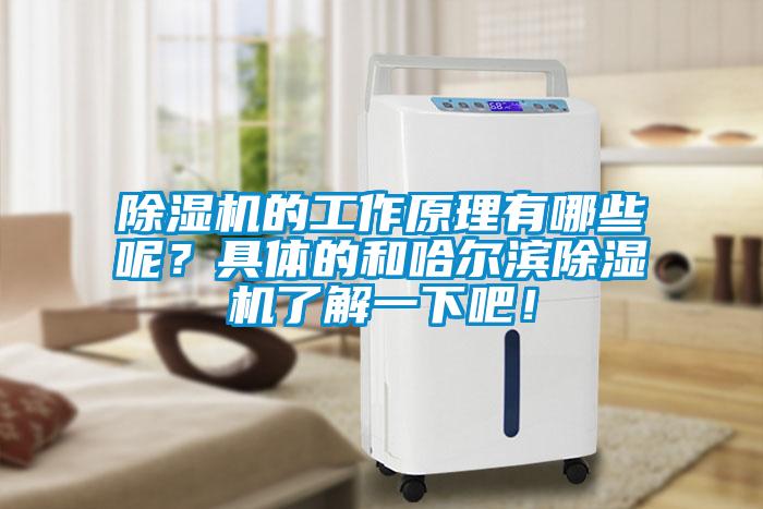 除濕機(jī)的工作原理有哪些呢？具體的和哈爾濱除濕機(jī)了解一下吧！