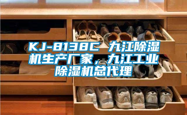 KJ-8138C 九江除濕機生產(chǎn)廠家，九江工業(yè)除濕機總代理