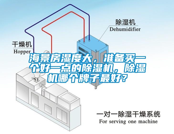海景房濕度大，準(zhǔn)備買一個(gè)好一點(diǎn)的除濕機(jī)，除濕機(jī)哪個(gè)牌子最好？