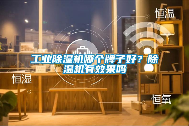 工業(yè)除濕機哪個牌子好？除濕機有效果嗎