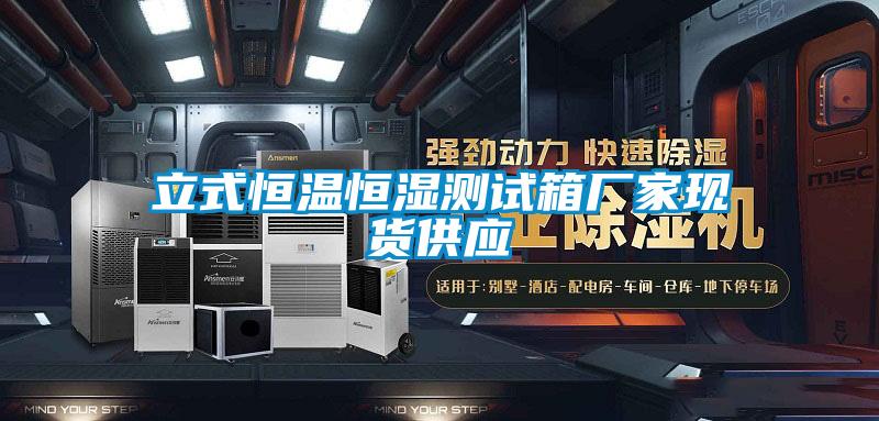 立式恒溫恒濕測試箱廠家現(xiàn)貨供應
