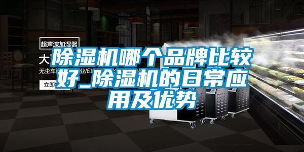 除濕機哪個品牌比較好_除濕機的日常應用及優(yōu)勢