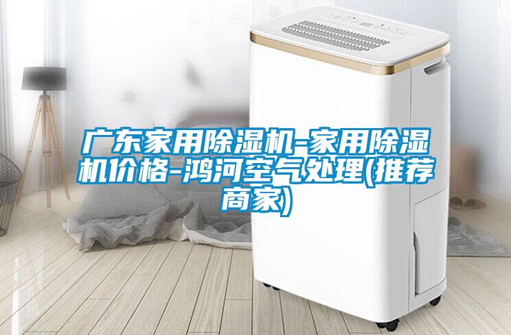 廣東家用除濕機(jī)-家用除濕機(jī)價格-鴻河空氣處理(推薦商家)