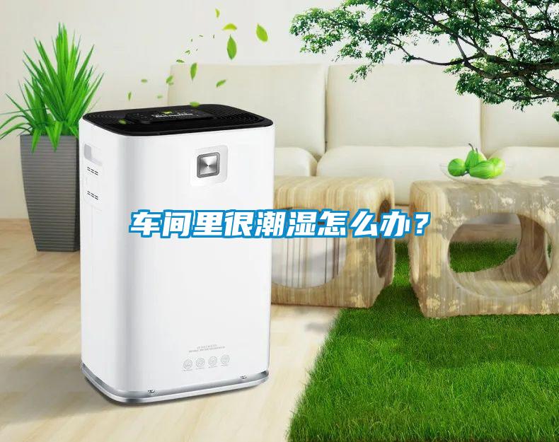 車間里很潮濕怎么辦？