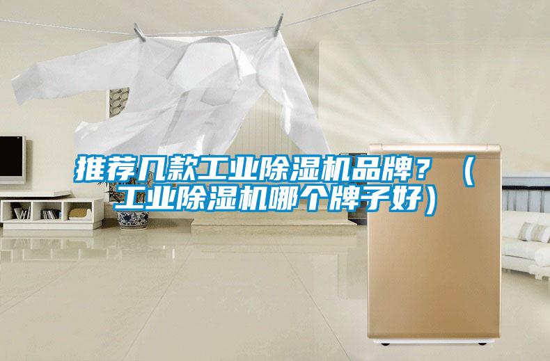 推薦幾款工業(yè)除濕機(jī)品牌？（工業(yè)除濕機(jī)哪個(gè)牌子好）