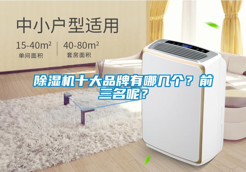 除濕機(jī)十大品牌有哪幾個(gè)？前三名呢？